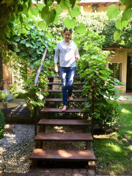 Так вот ты какой, Меркосур! (Аргентина-Бразилия-Уругвай 15.02-12.03.2019)