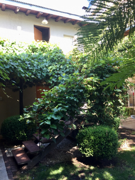 Так вот ты какой, Меркосур! (Аргентина-Бразилия-Уругвай 15.02-12.03.2019)