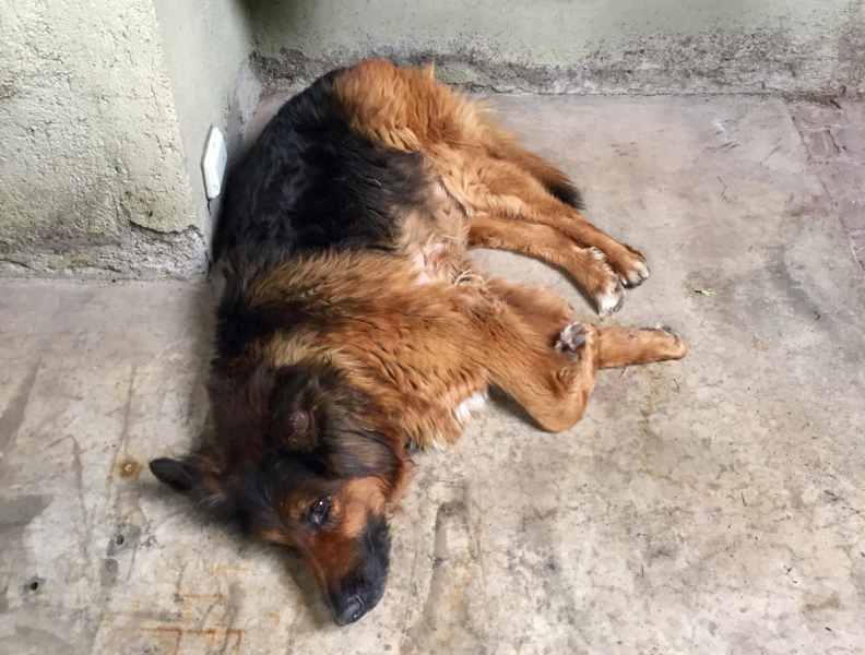 Так вот ты какой, Меркосур! (Аргентина-Бразилия-Уругвай 15.02-12.03.2019)