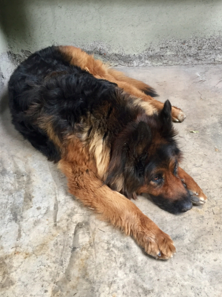 Так вот ты какой, Меркосур! (Аргентина-Бразилия-Уругвай 15.02-12.03.2019)