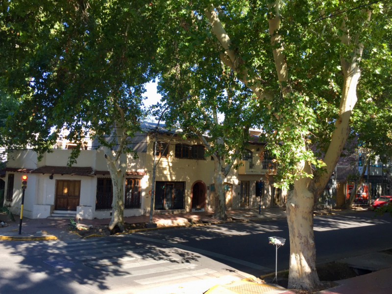 Так вот ты какой, Меркосур! (Аргентина-Бразилия-Уругвай 15.02-12.03.2019)