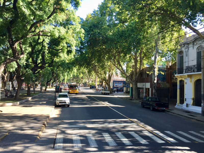 Так вот ты какой, Меркосур! (Аргентина-Бразилия-Уругвай 15.02-12.03.2019)