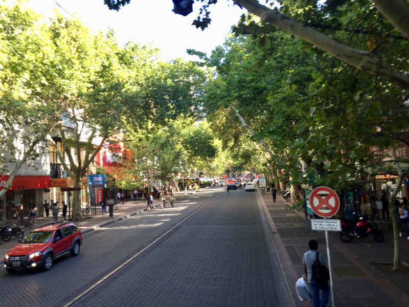 Так вот ты какой, Меркосур! (Аргентина-Бразилия-Уругвай 15.02-12.03.2019)