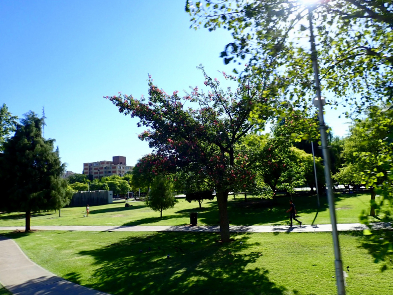 Так вот ты какой, Меркосур! (Аргентина-Бразилия-Уругвай 15.02-12.03.2019)