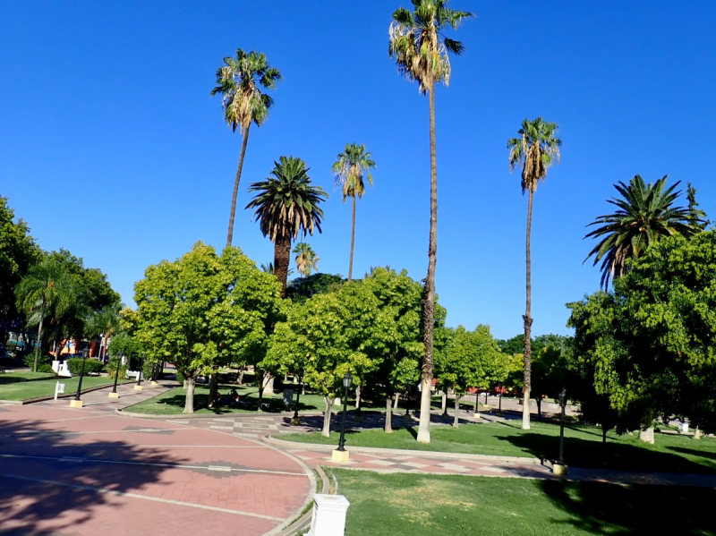 Так вот ты какой, Меркосур! (Аргентина-Бразилия-Уругвай 15.02-12.03.2019)