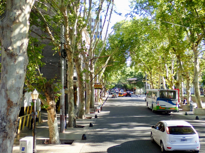 Так вот ты какой, Меркосур! (Аргентина-Бразилия-Уругвай 15.02-12.03.2019)