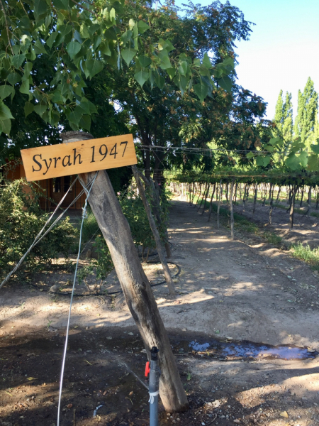 Так вот ты какой, Меркосур! (Аргентина-Бразилия-Уругвай 15.02-12.03.2019)