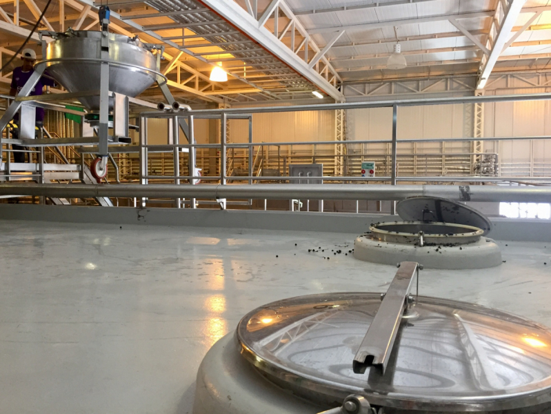 Так вот ты какой, Меркосур! (Аргентина-Бразилия-Уругвай 15.02-12.03.2019)