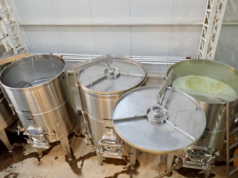 Так вот ты какой, Меркосур! (Аргентина-Бразилия-Уругвай 15.02-12.03.2019)