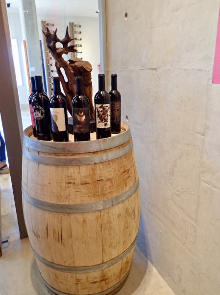 Так вот ты какой, Меркосур! (Аргентина-Бразилия-Уругвай 15.02-12.03.2019)