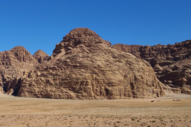 Aqaba→Wadi Rum→Petra→Aqaba, или Гиды идут лесом!