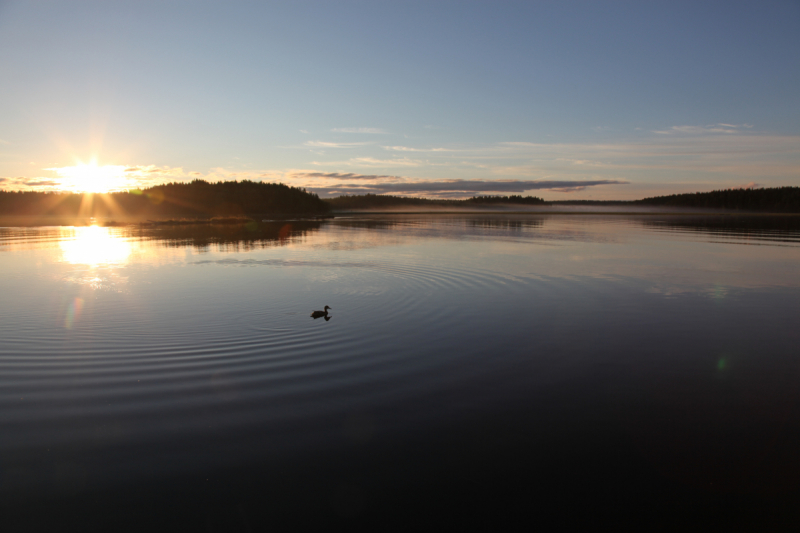 Кольский-Кандалакшский залив июль 2018.