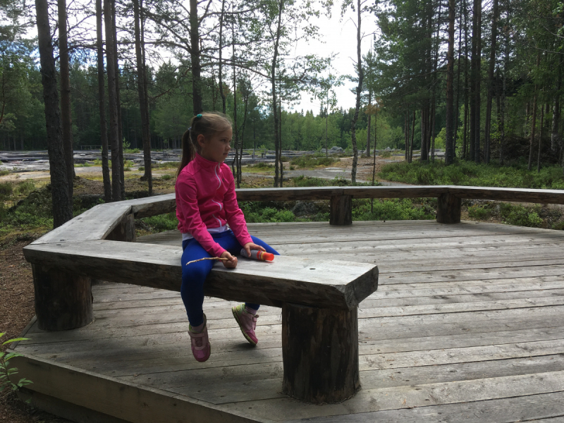 Кольский-Кандалакшский залив июль 2018.