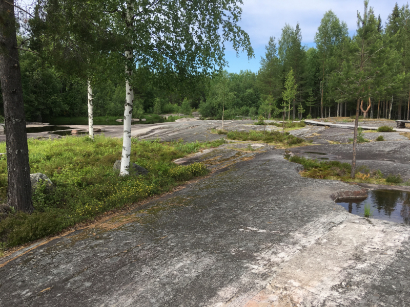 Кольский-Кандалакшский залив июль 2018.