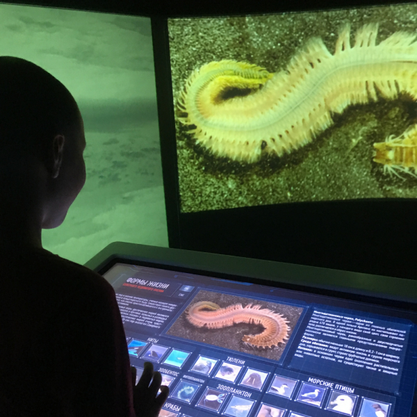 Кольский-Кандалакшский залив июль 2018.