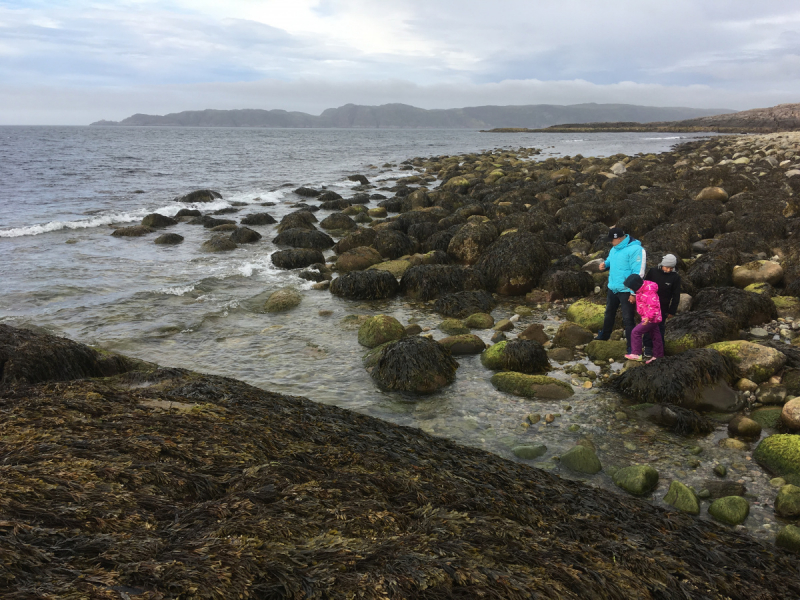 Кольский-Кандалакшский залив июль 2018.