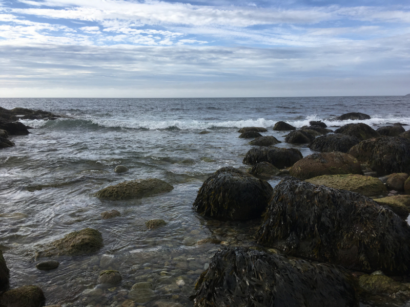 Кольский-Кандалакшский залив июль 2018.