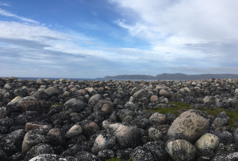 Кольский-Кандалакшский залив июль 2018.