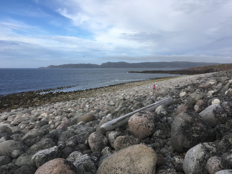 Кольский-Кандалакшский залив июль 2018.