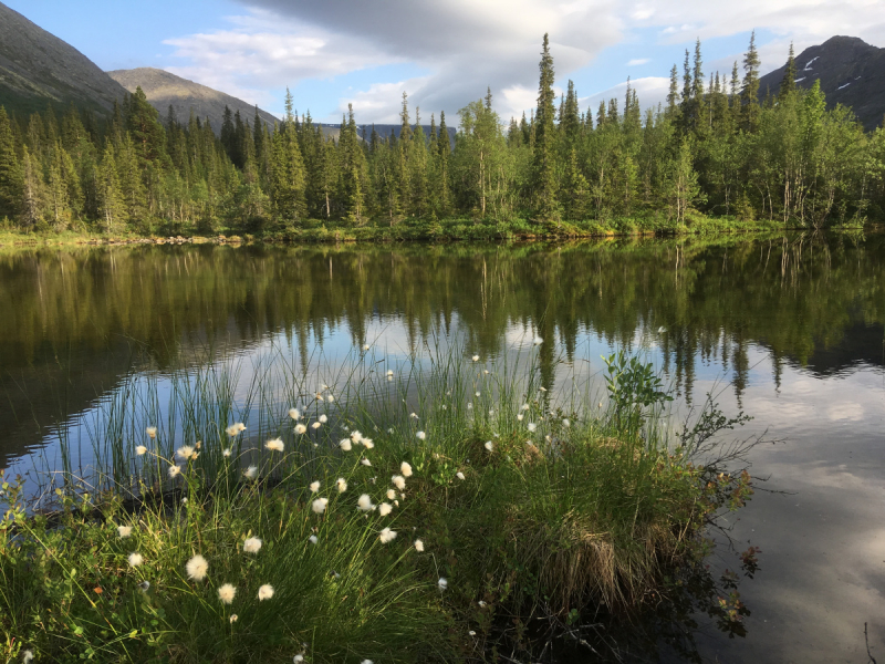 Кольский-Кандалакшский залив июль 2018.