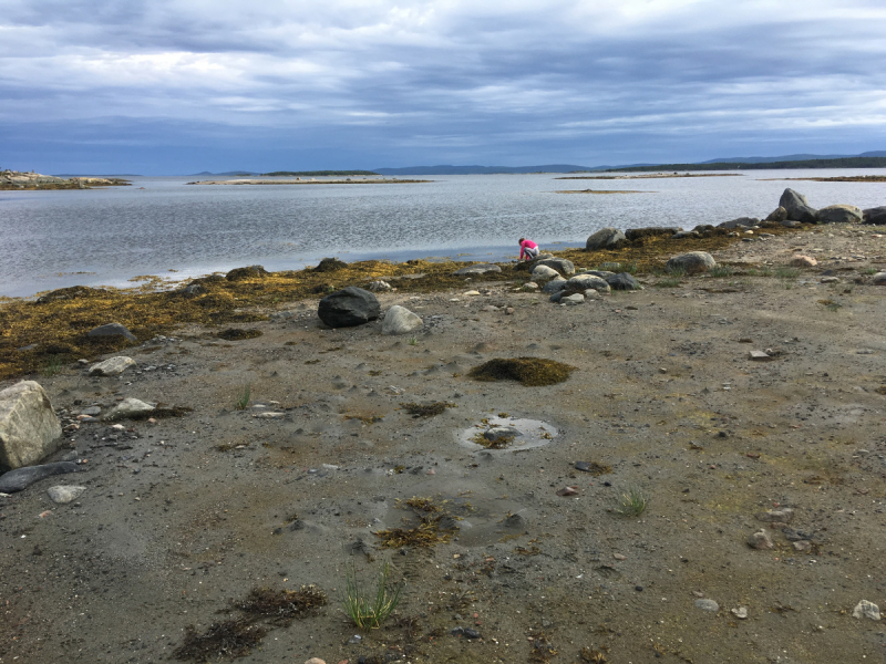 Кольский-Кандалакшский залив июль 2018.