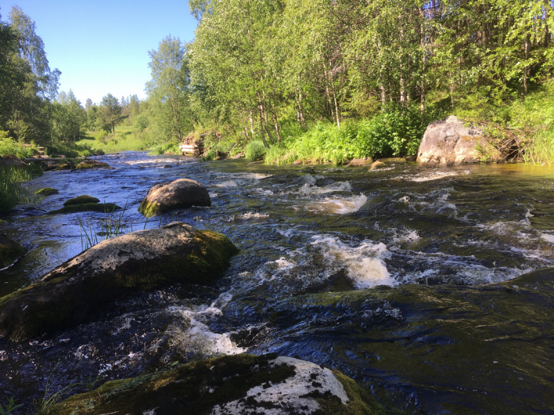 Кольский-Кандалакшский залив июль 2018.