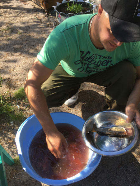 Кольский-Кандалакшский залив июль 2018.