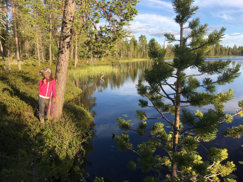 Кольский-Кандалакшский залив июль 2018.