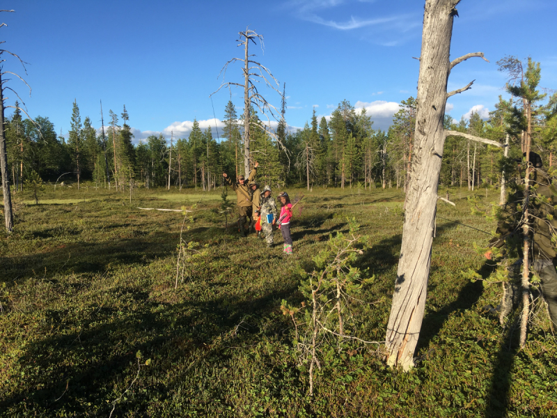 Кольский-Кандалакшский залив июль 2018.