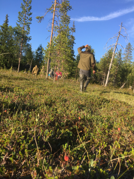 Кольский-Кандалакшский залив июль 2018.