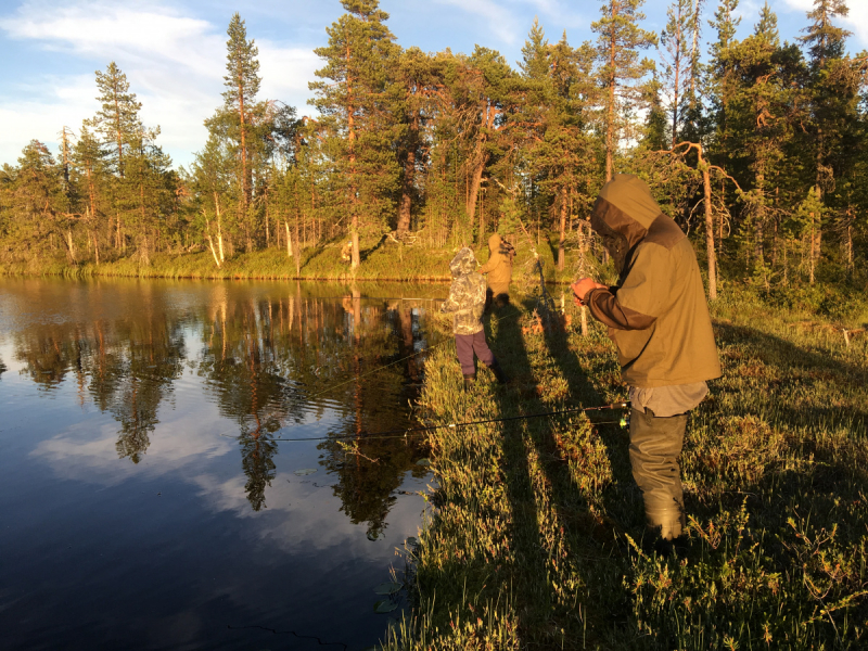 Кольский-Кандалакшский залив июль 2018.