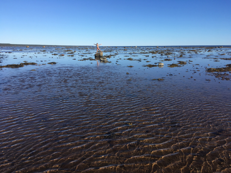 Кольский-Кандалакшский залив июль 2018.