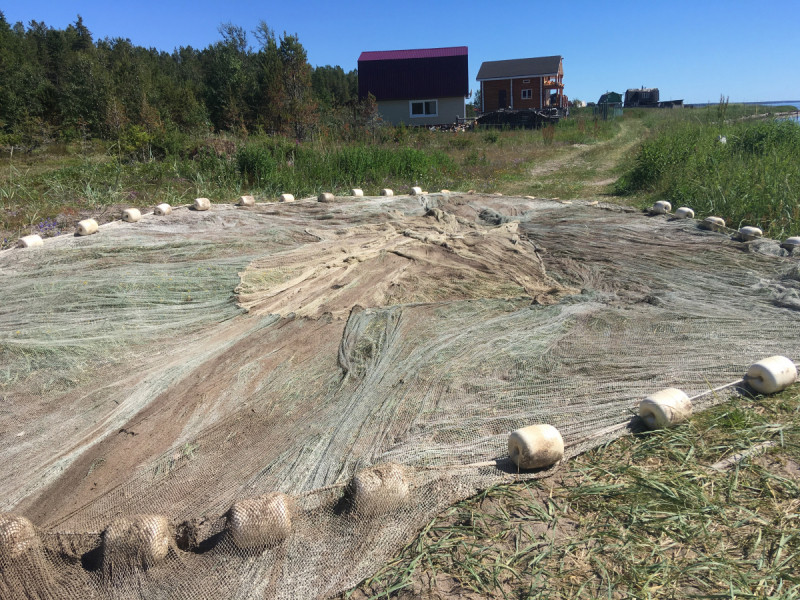 Кольский-Кандалакшский залив июль 2018.