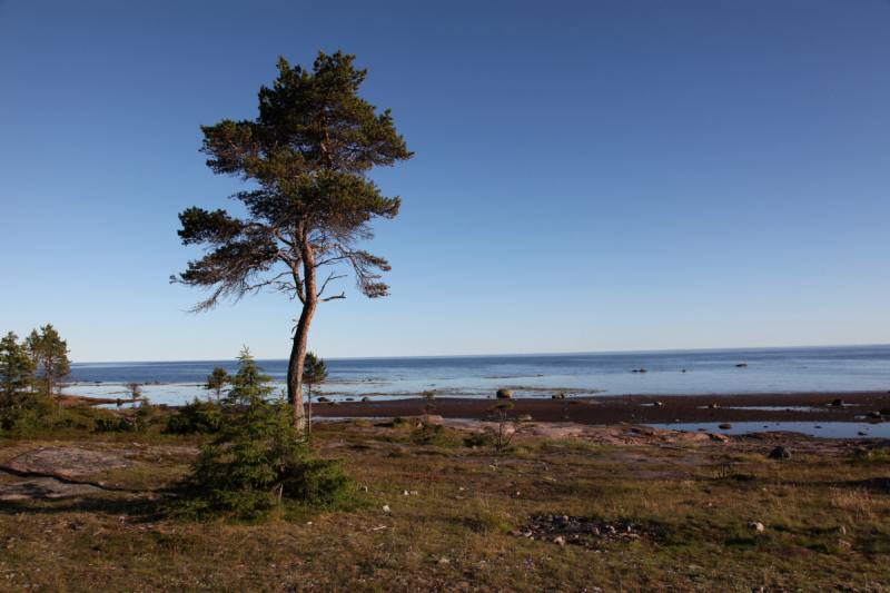 Кольский-Кандалакшский залив июль 2018.