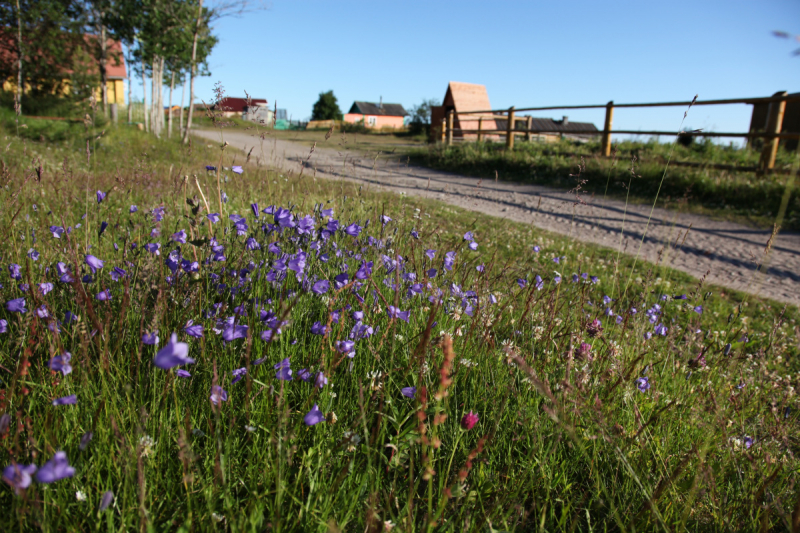 Кольский-Кандалакшский залив июль 2018.