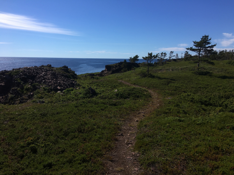 Кольский-Кандалакшский залив июль 2018.