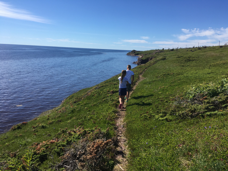 Кольский-Кандалакшский залив июль 2018.