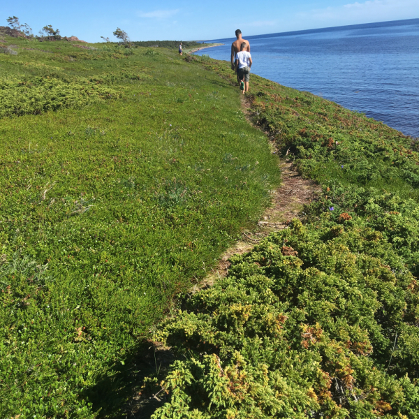 Кольский-Кандалакшский залив июль 2018.
