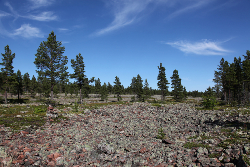 Кольский-Кандалакшский залив июль 2018.