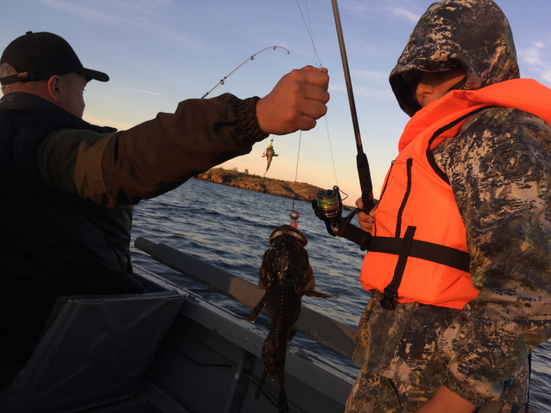 Кольский-Кандалакшский залив июль 2018.