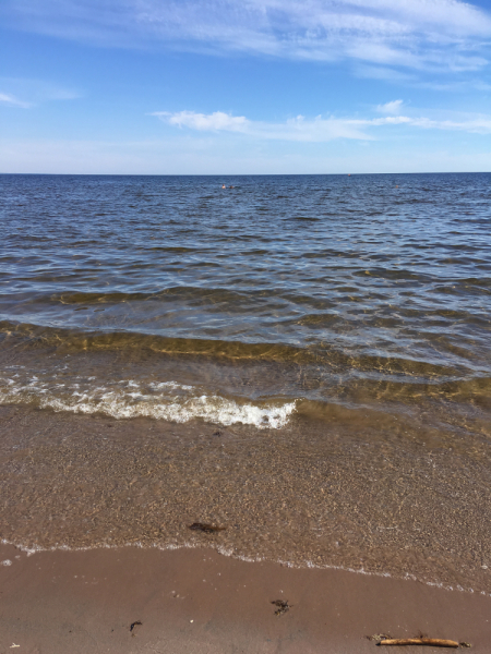 Кольский-Кандалакшский залив июль 2018.