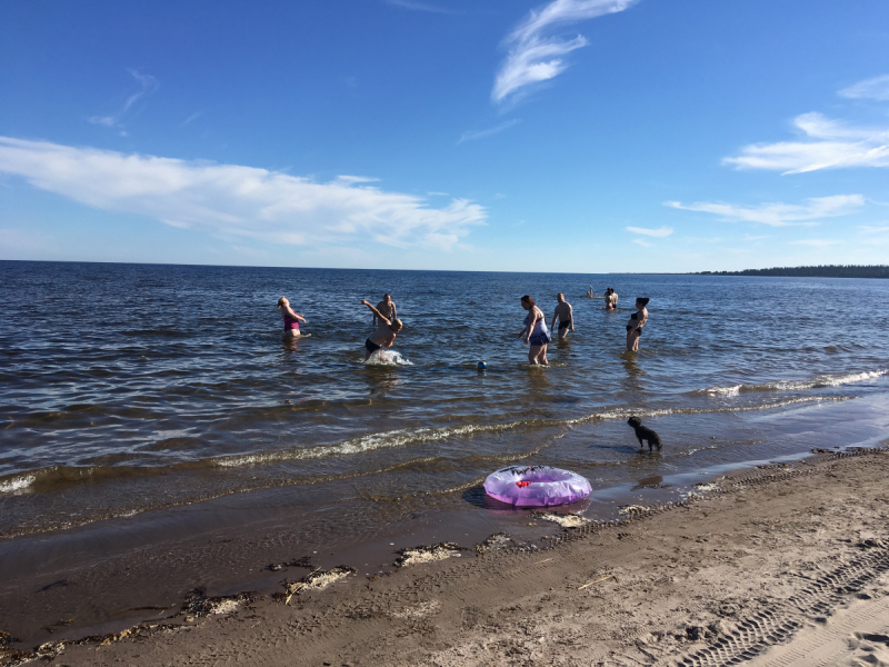 Кольский-Кандалакшский залив июль 2018.
