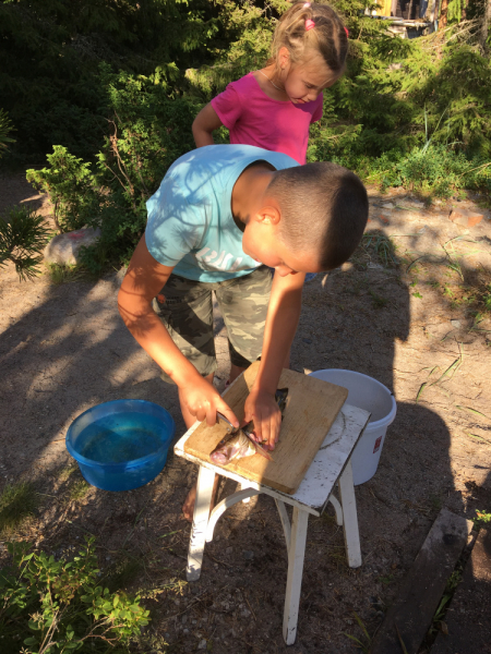 Кольский-Кандалакшский залив июль 2018.