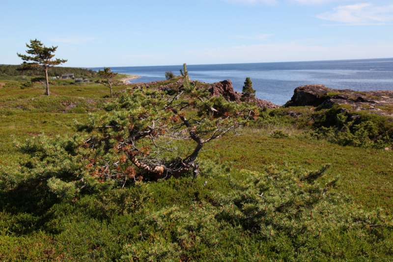 Кольский-Кандалакшский залив июль 2018.