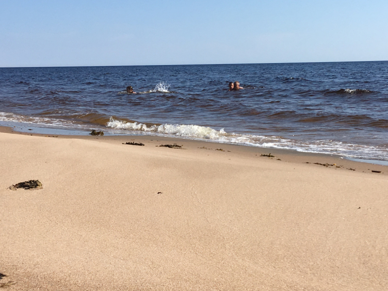 Кольский-Кандалакшский залив июль 2018.