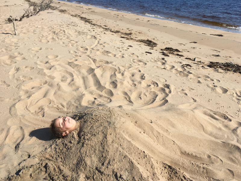 Кольский-Кандалакшский залив июль 2018.