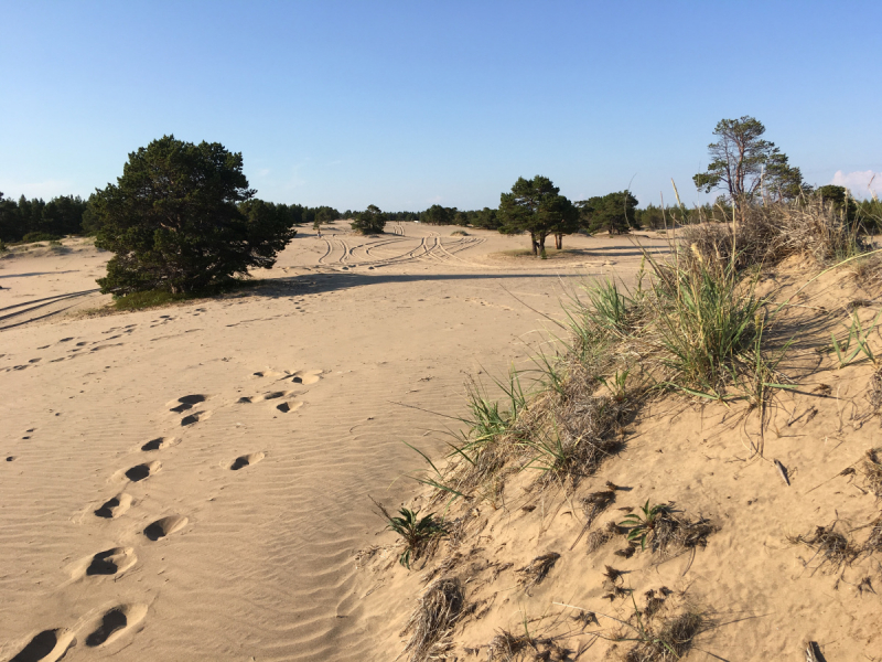 Кольский-Кандалакшский залив июль 2018.