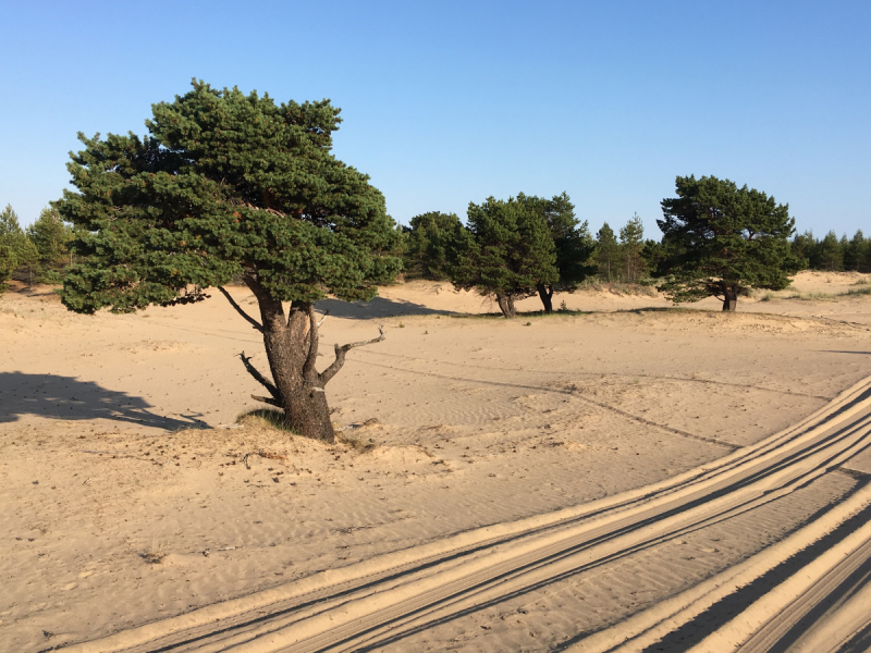 Кольский-Кандалакшский залив июль 2018.