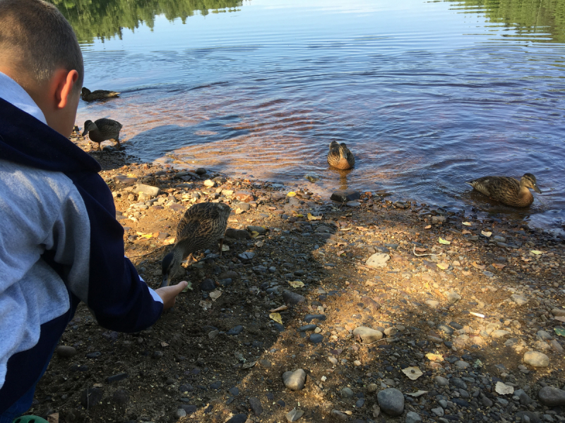 Кольский-Кандалакшский залив июль 2018.