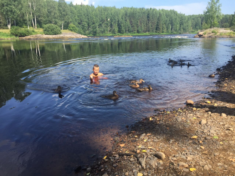 Кольский-Кандалакшский залив июль 2018.